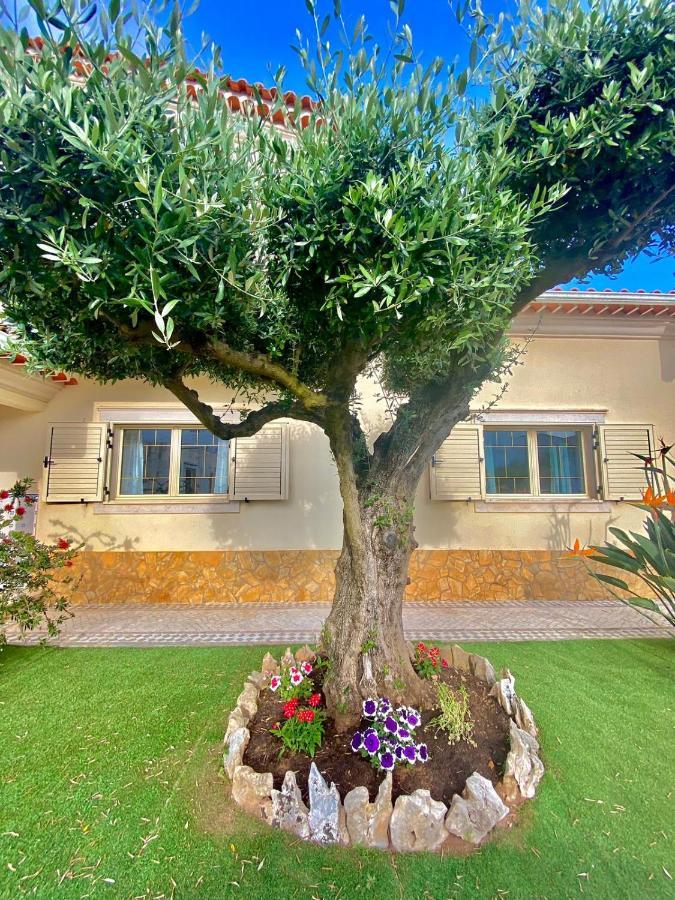 Casa Das Laranjeiras Alqueidao da Serra Ngoại thất bức ảnh